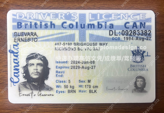 不列颠哥伦比亚省驾照