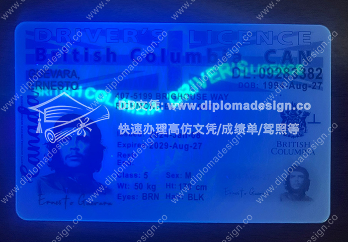 不列颠哥伦比亚省驾照正面带荧光