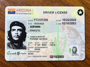 亚利桑那州驾照-1