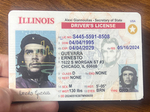 伊利诺伊州驾照-1