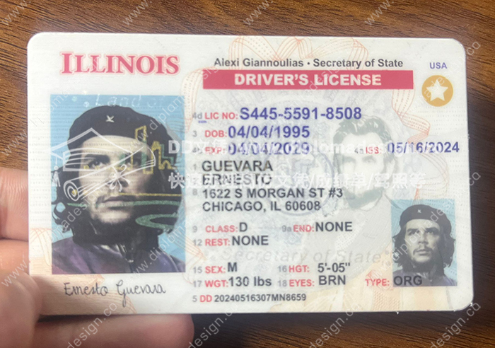 伊利诺伊州驾照