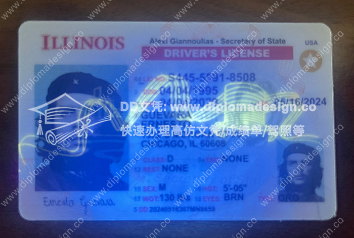 伊利诺伊州驾照正面带荧光