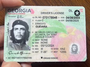 佐治亚州驾照-1
