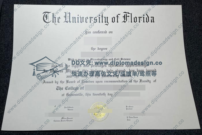 佛罗里达大学文凭