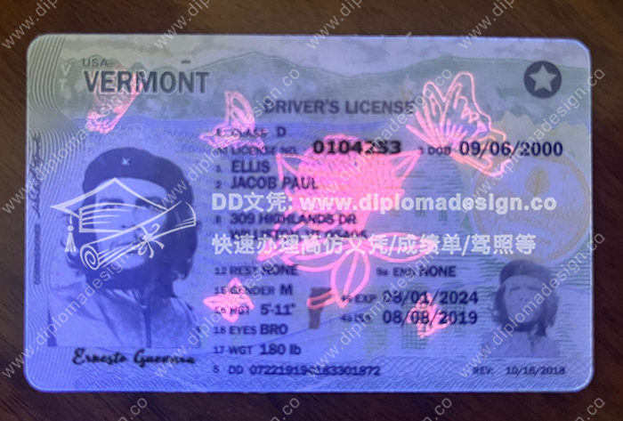 佛蒙特州驾照正面带荧光