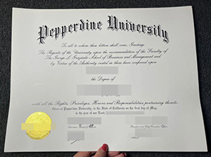 佩珀代因大学文凭-1