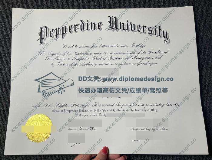 佩珀代因大学文凭