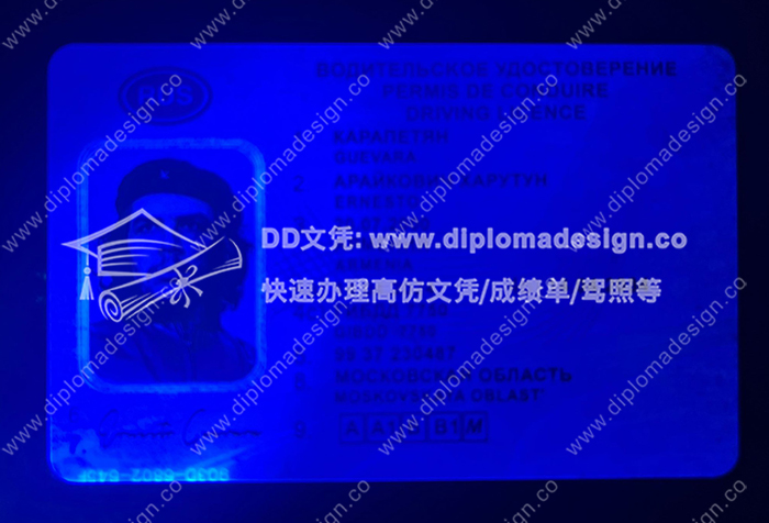 俄罗斯驾照正面带荧光