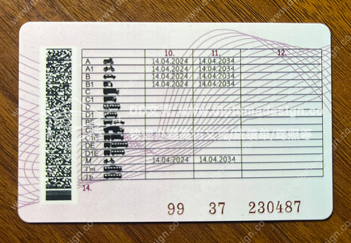 俄罗斯驾照背面