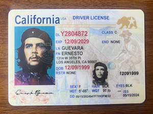 加利福尼亚州驾照-1