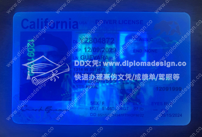 加利福尼亚州驾照正面带荧光