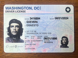 华盛顿州驾照-1