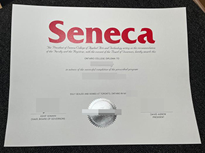 圣力嘉学院文凭-1