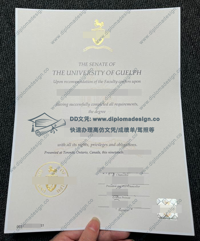 圭尔夫大学文凭