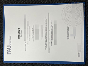 埃尔朗根-纽伦堡大学文凭-1