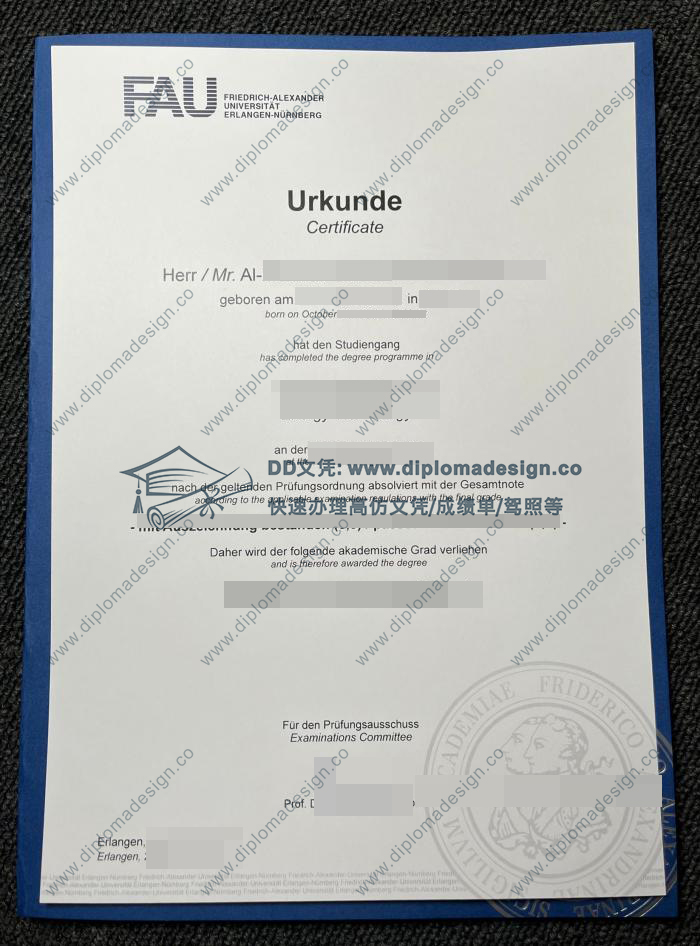 埃尔朗根-纽伦堡大学文凭