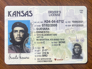 堪萨斯州驾照-1
