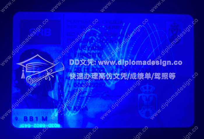 塞尔维亚驾照正面带荧光