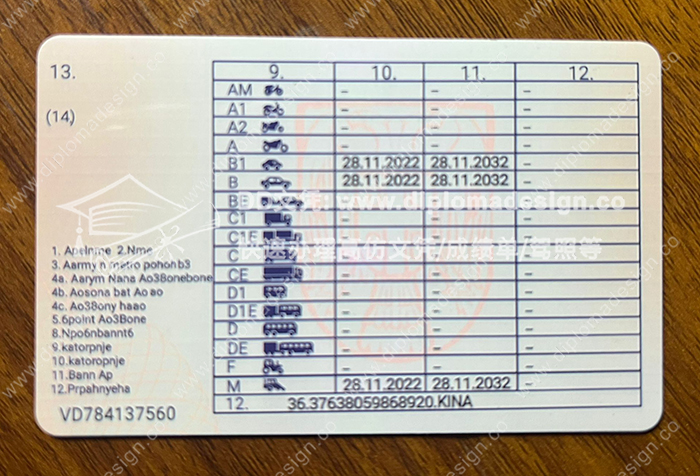 塞尔维亚驾照背面