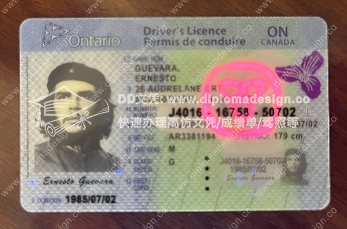 安大略省驾照正面带荧光