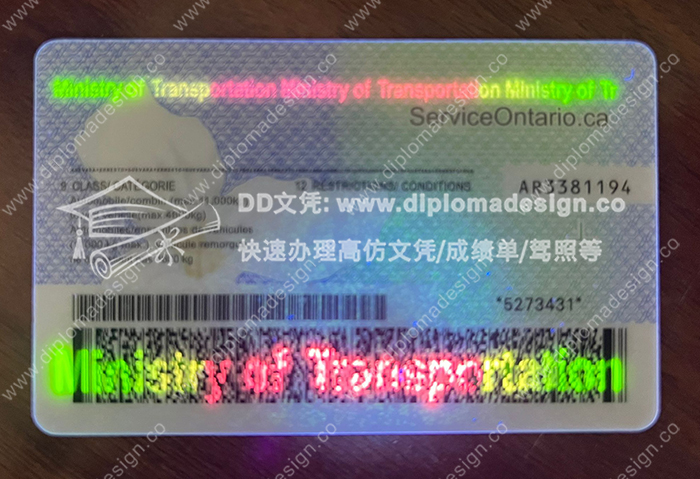 安大略省驾照背面带荧光