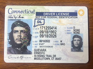 康涅狄格州驾照-1