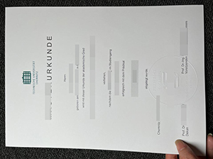 开姆尼茨工业大学毕业证-1