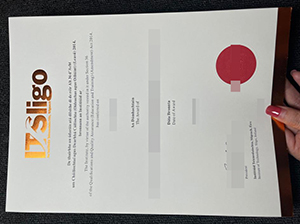 斯莱戈理工学院文凭-1