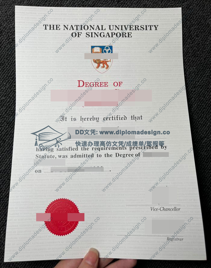 新加坡国立大学文凭