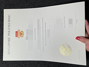 新加坡理工学院文凭-1