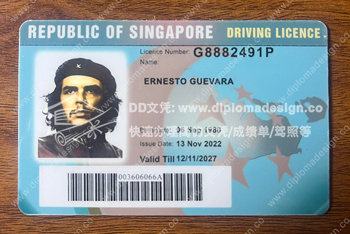 新加坡驾照
