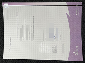 方提斯应用科技大学文凭-1