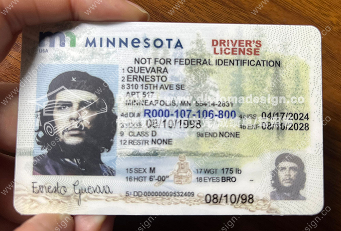 明尼苏达州驾照