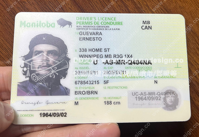 曼尼托巴省驾照