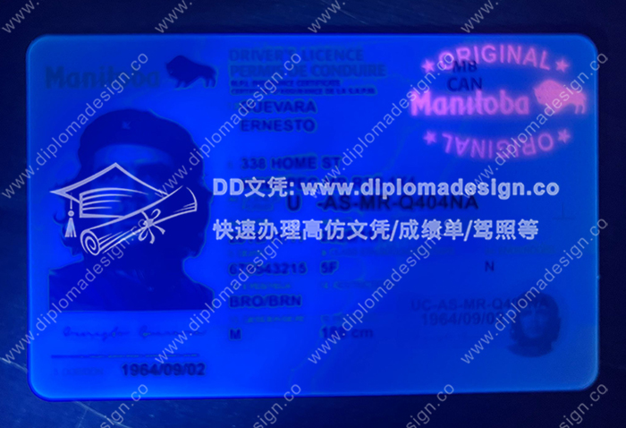 曼尼托巴省驾照正面带荧光