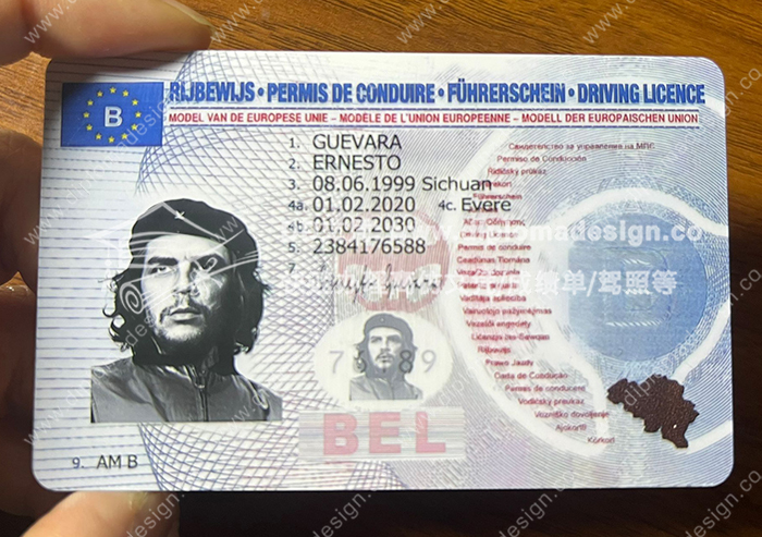 比利时驾照
