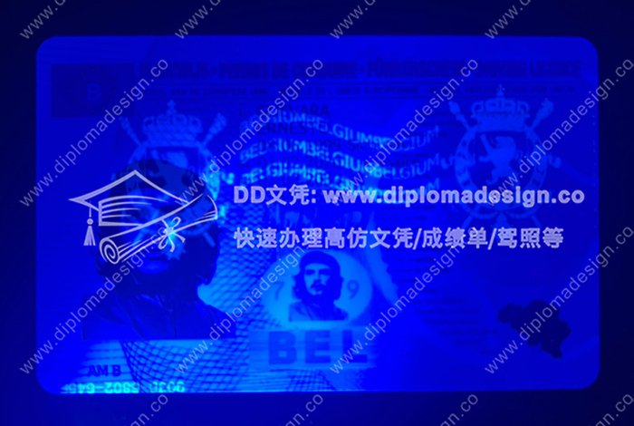 比利时驾照正面带荧光