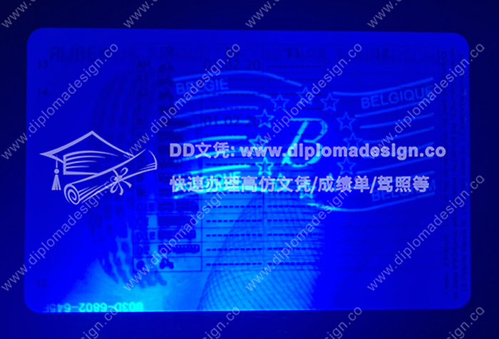 比利时驾照背面带荧光