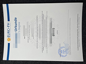 汉堡欧洲远程大学文凭-1