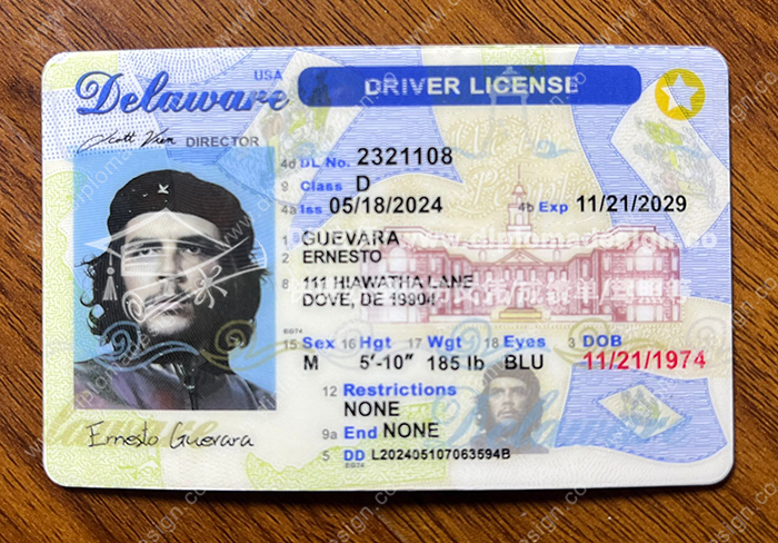 特拉华州驾照