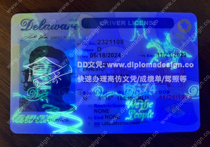 特拉华州驾照正面带荧光