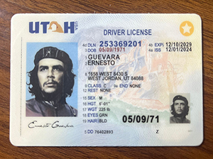犹他州驾照-1