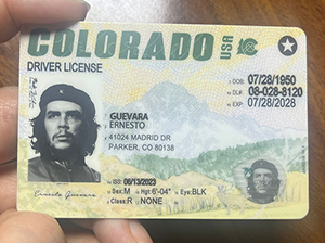 科罗拉多州驾照-1