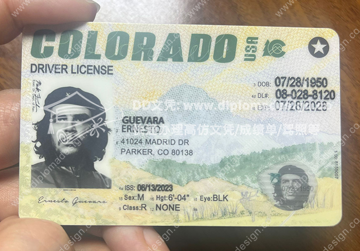 科罗拉多州驾照