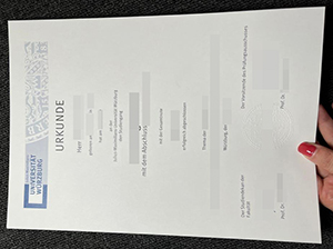 维尔茨堡大学文凭-1