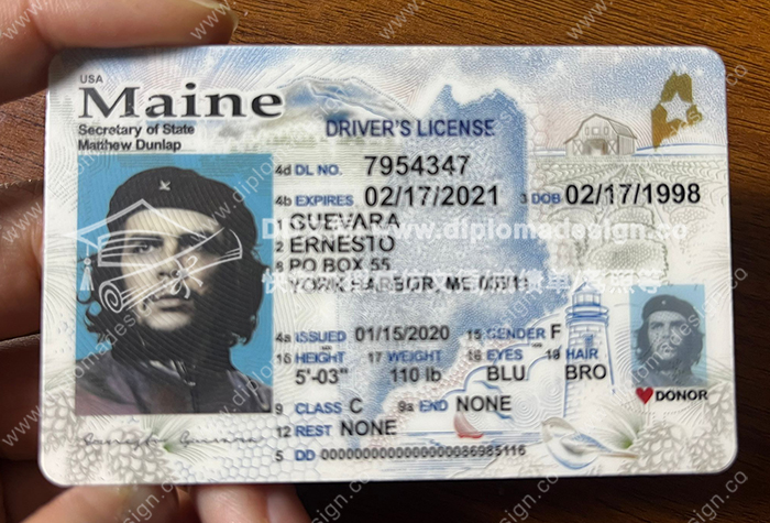 缅因州驾照