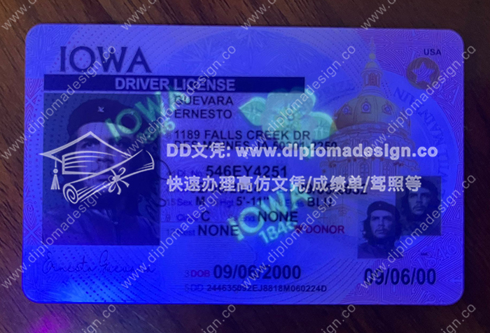 艾奥瓦州驾照正面带荧光