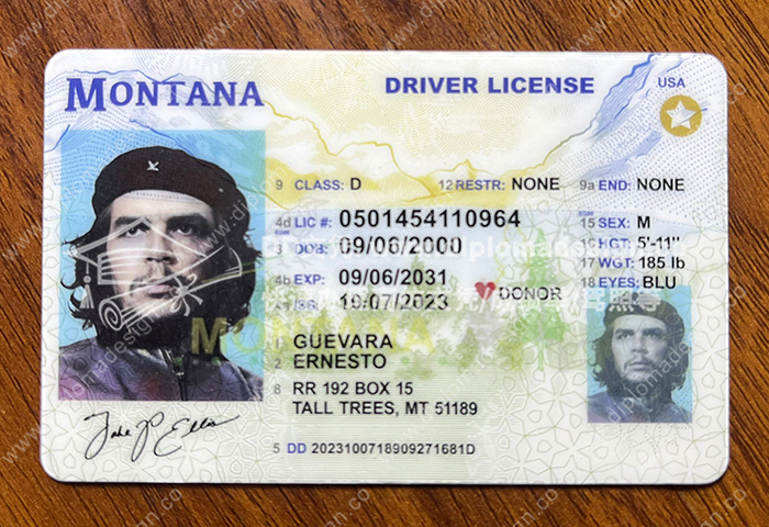 蒙大拿州驾照
