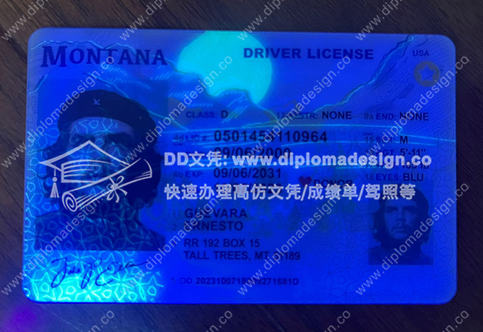 蒙大拿州驾照正面带荧光