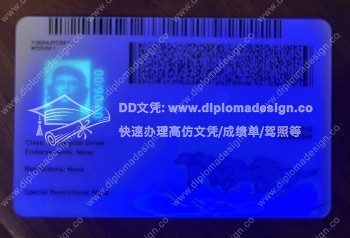 蒙大拿州驾照背面带荧光